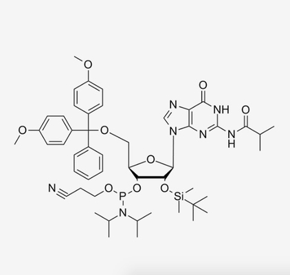 -2'-O-TBDMS-G(IBu)-CE-RNA Fosforamidit Sintesis Oligo RNA Kustom CAS 147201-04-5