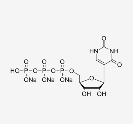 Solusi PUTP 100mM Bahan Baku Vaksin mRNA Pseudouridine 5'-Triphosphate CAS 1175-34-4