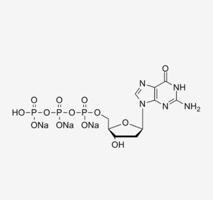 dGTP 100 mM Solution/HPLC≥99%/2'-Deoxyguanosine-5'-triphosphate trisodium salt/CAS NO.: 93919-41-6/Merek: HUANA
