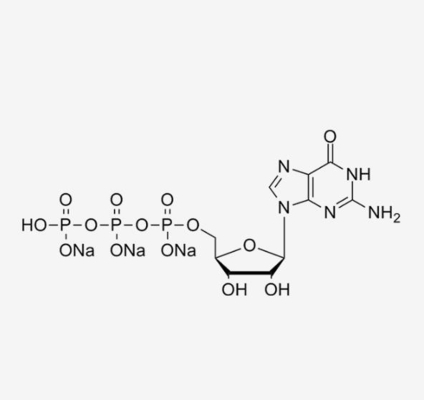GTP, larutan 100mM/HPLC≥99%/CAS No.: 36051-31-7/Guanosine-5'-triphosphate sodium salt