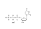 Solusi Campuran Deoksinukleotida DNTP Untuk PCR 10ml 25mM